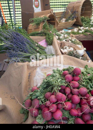 Verdure biologiche in vendita direttamente fuori dell'azienda. Mostra ravanelli,funghi, aglio e altre verdure fresche a foglia verde. Foto Stock