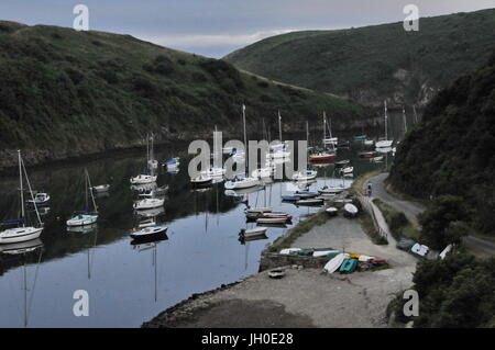 Solva Harbour, Pembrokeshire Foto Stock