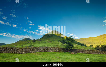 Alta Hartsop Dodd Hill nella luce del mattino, Parco Nazionale del Distretto dei Laghi Foto Stock