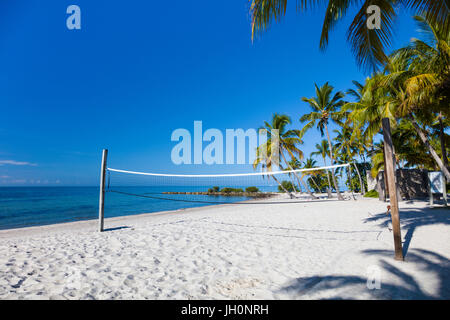 Alberi di palma tropicali a pulire la sabbia bianca Smathers Beach a Key West Foto Stock
