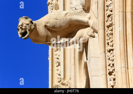 Chimera. Cattedrale di Lione. La Francia. Foto Stock