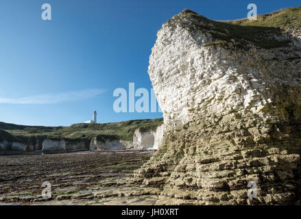 Faro Flamborough sopra le ripide scogliere di gesso di Selwicks bay, North Yorkshire, Inghilterra. Foto Stock