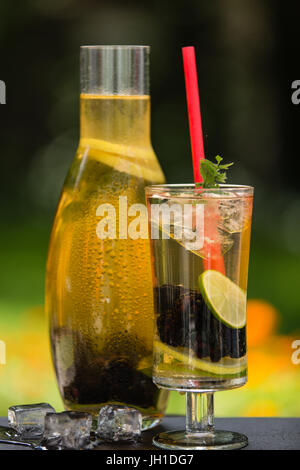 In casa verde ice tea con more, limone, calce ed erbe aromatiche Foto Stock