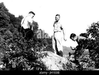 George Wescott Fisher, Clifford A. Hopson, e J. S. Reed, gli studenti di una Università Johns Hopkins geologia classe, raccogliere i campioni nel campo, 1950. Foto Stock