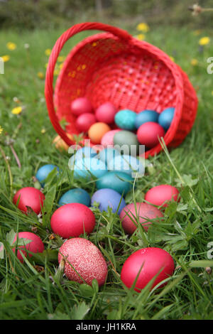 Colorate le uova di pasqua in un cestello. La Francia. Foto Stock