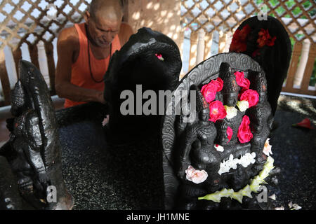 Tempio indù devoto immissione fiori su murthis in Raman Reti. India. Foto Stock