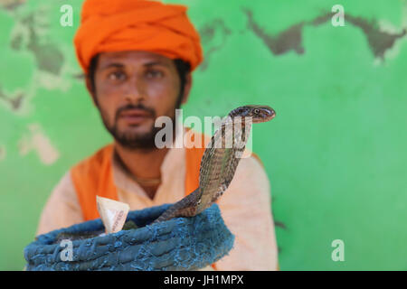 Il serpente incantatore in Nandgaon, Uttar Pradesh. India. Foto Stock