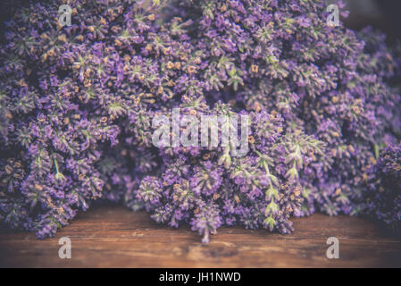 Sfocate e soft focus retrò dai toni di fiori di lavanda sullo sfondo della natura Foto Stock