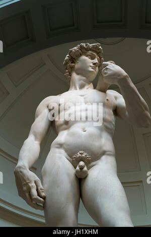 La scultura in marmo del David di Michelangelo, 1501-1504, Galleria dell'Accademia, Firenze, Toscana, Italia, Europa Foto Stock