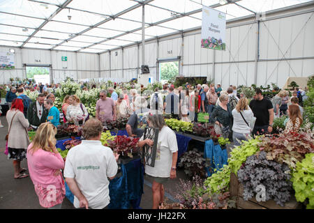 Birmingham, Regno Unito. 16 Giugno, 2017. Giardinieri di BBC World Live e BBC Good Food Show. Foto Stock