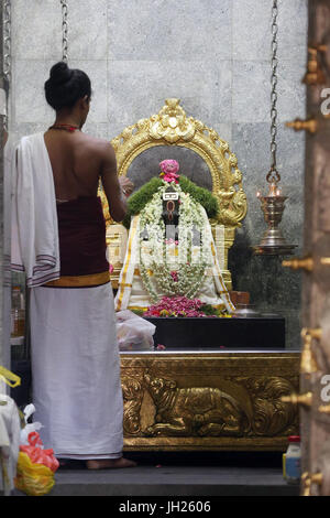 Sri Veeramakaliamman tempio indù. Puja. Singapore. Foto Stock