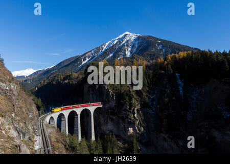 Bernina Express passa sopra Landwasser Viadukt circondato da boschi colorati del Cantone dei Grigioni, Svizzera, Europa Foto Stock