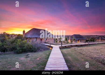 Hlosi Game Lodge durante uno spettacolare tramonto sul Amakhala Game Reserve sul Capo orientale, Sud Africa e Africa Foto Stock