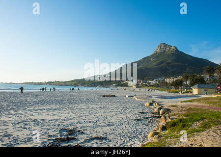 Lungomare di Camps Bay con il Lions Head in background, sobborgo di Cape Town, Sud Africa e Africa Foto Stock