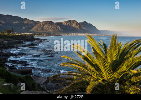 Hermanus Bay al tramonto, Western Cape, Sud Africa e Africa Foto Stock