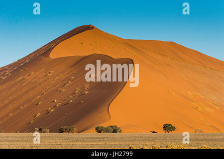 Gigantesche Dune di sabbia 45, Sossusvlei, Namib-Naukluft National Park, Namibia, Africa Foto Stock