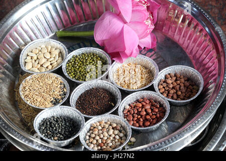 Sri Vadapathira Kaliamman tempio indù. Puja tradizionale thali. Offerte a divinità Indù. . Singapore. Foto Stock