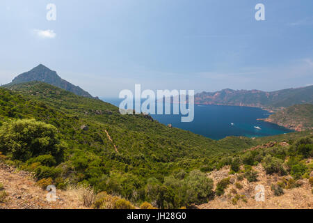 Vista superiore del mare turchese e baia incorniciata dalla vegetazione verde sul promontorio, Porto, Sud Corsica, Francia, Mediterranea Foto Stock