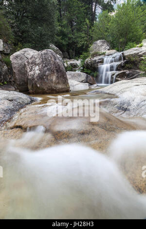 Vista del Purcaraccia cascate e piscine naturali in estate, Punta di Malanda, montagne di Bavella, Quenza, Corsica, Francia Foto Stock