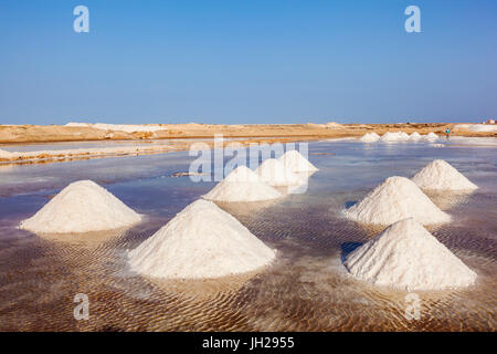Pile di sale raccolto dalle naturali saline a Salinas, appena fuori da Santa Maria, Isola di Sal, Capo Verde, Oceano Atlantico, Africa Foto Stock