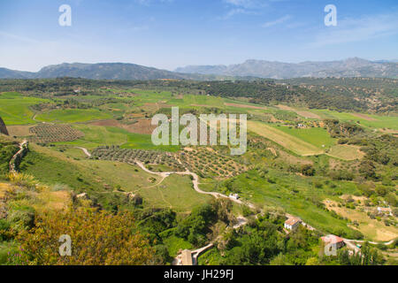 Vista della campagna andalusa da Alameda del Tajo, Ronda, Andalusia, Spagna, Europa Foto Stock