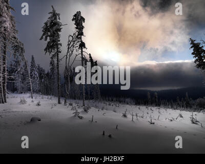 Inverno blizzard nel Beskidy Mountains Foto Stock