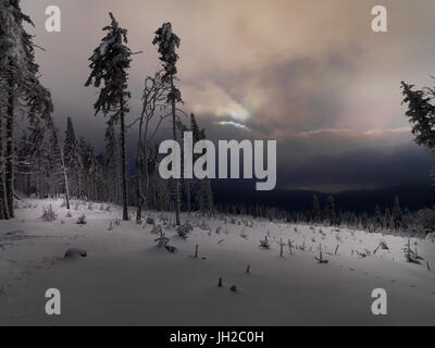 Inverno blizzard nel Beskidy Mountains Foto Stock