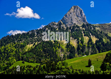 Il picco Dent de Jaman sopra Montreux, Alpi Bernoise, Vaud, Svizzera Foto Stock