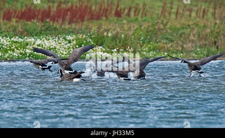 Seaforth, Liverpool, Meresands legno, Rufford Foto Stock