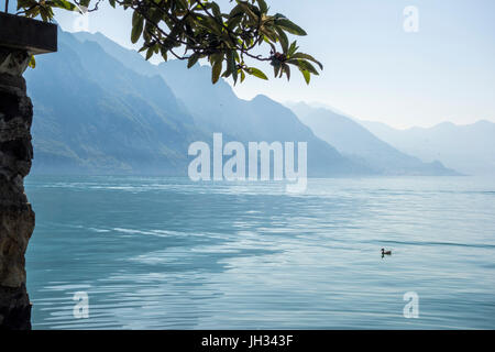 Vista del lago dalla Riva di Solto, Lago d'Iseo, Italia Foto Stock