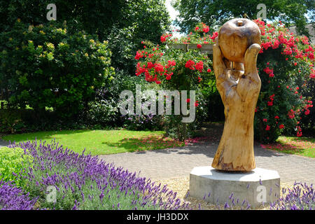 Scultura in legno di sir Isaac Newton la mano e Apple in Wyndham Park, Grantham, Lincolnshire, England, Regno Unito Foto Stock