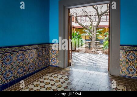 Isola di Tenerife, Isole canarie, Spagna Foto Stock