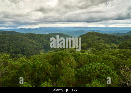 Pineta - angolo di alta vista - dal cavo di Dalat auto al Truc Lam pagoda. Dalat, Vietnam. Foto Stock