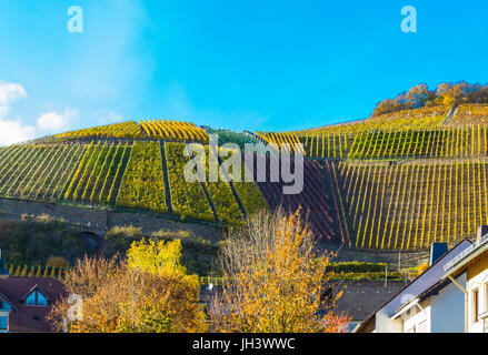 Dernau nella valle dell'Ahr Foto Stock