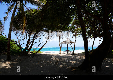 Approccio ai maccheroni Beach, visto attraverso gli alberi, mostra acqua turchese e stile tiki ombrellone Foto Stock