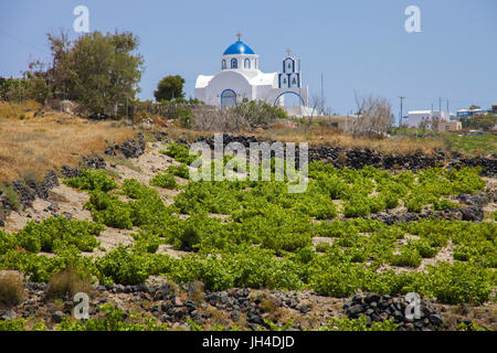 Chiesa ortodossa tra megalochori e Akrotiri, viticoltura, SANTORINI, CICLADI, Egeo, Grecia Foto Stock