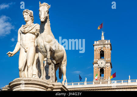 Statua di Pollux con il suo cavallo in Piazza del Campidoglio il Campidoglio, Roma, Italia Foto Stock