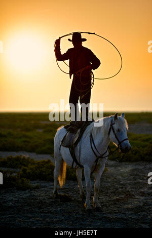 Gardian lassoing in piedi su un cavallo Camargue. Foto Stock