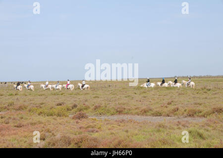 Persone; Cavalieri; terreno pianeggiante; 2017, Saint Marie de la Mer, Camargue, Francia Foto Stock