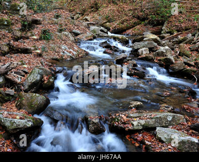 Bellissimo paesaggio naturale Foto Stock