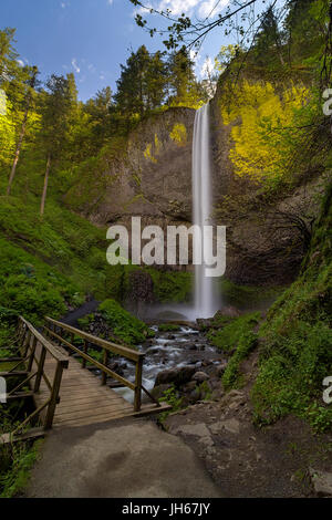 Ponte di legno lungo sentieri escursionistici a Latourell cade nella Columbia River Gorge Oregon Foto Stock