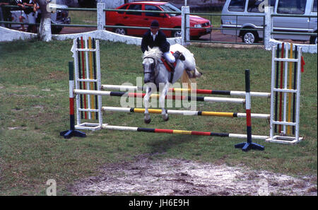 Per l'equitazione Foto Stock