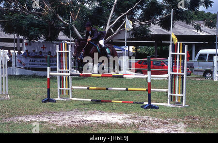 Per l'equitazione Foto Stock