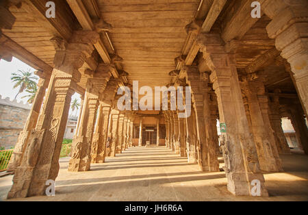 La scultura all'esterno della sala di 1000 colonne presso Sri Ranganathaswamy tempio indù a Srirangam in Tiruchirapalli nel Tamil Nadu regione Foto Stock