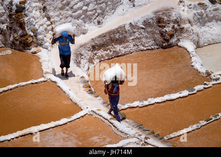 MARAS, Perù - circa ottobre 2015: i lavoratori borse e zaini all'Marasal sale pianure vicino al villaggio di Maras nella regione di Cusco noto come Sacra Vall Foto Stock