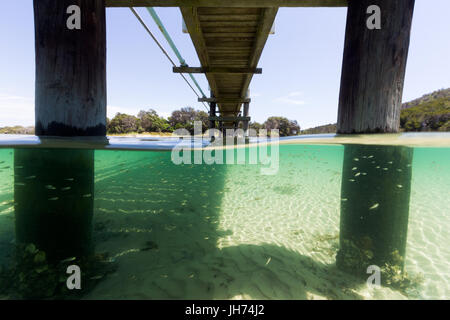 Il piccolo pesce scuola insieme sotto un molo in acqua turchese in questo split subacquea immagine presa in Australia. Foto Stock