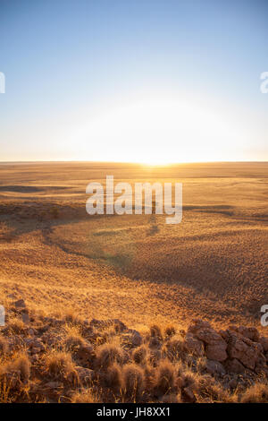 Tramonto sulla savana di Namib-Naukluft National Park, Namibia Foto Stock