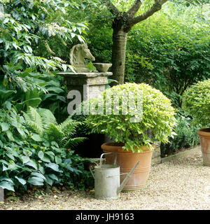 Pianta in vaso e annaffiatoio in giardino Foto Stock