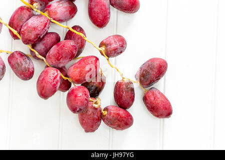 Un mazzetto crudo fresco date organico su un ramo su uno sfondo bianco. Foto Stock