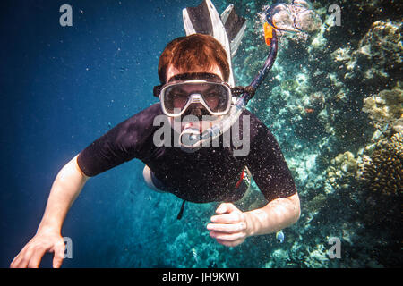 Snorkeler diving lungo il cervello coral Foto Stock